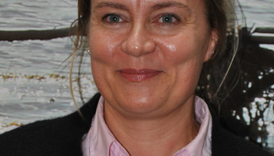 Dette vil dei jobba for i universitetsstyret