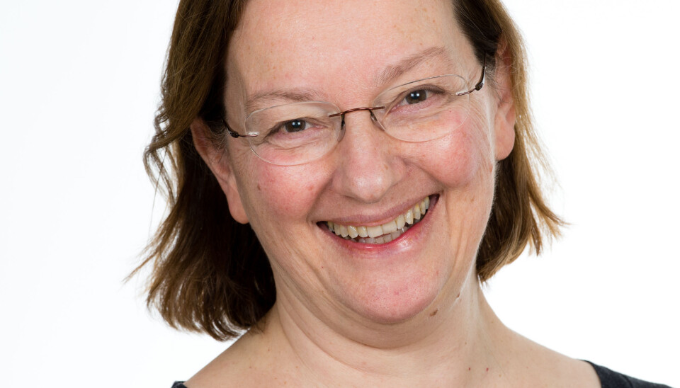 Desse professorane vil inn i universitetsstyret