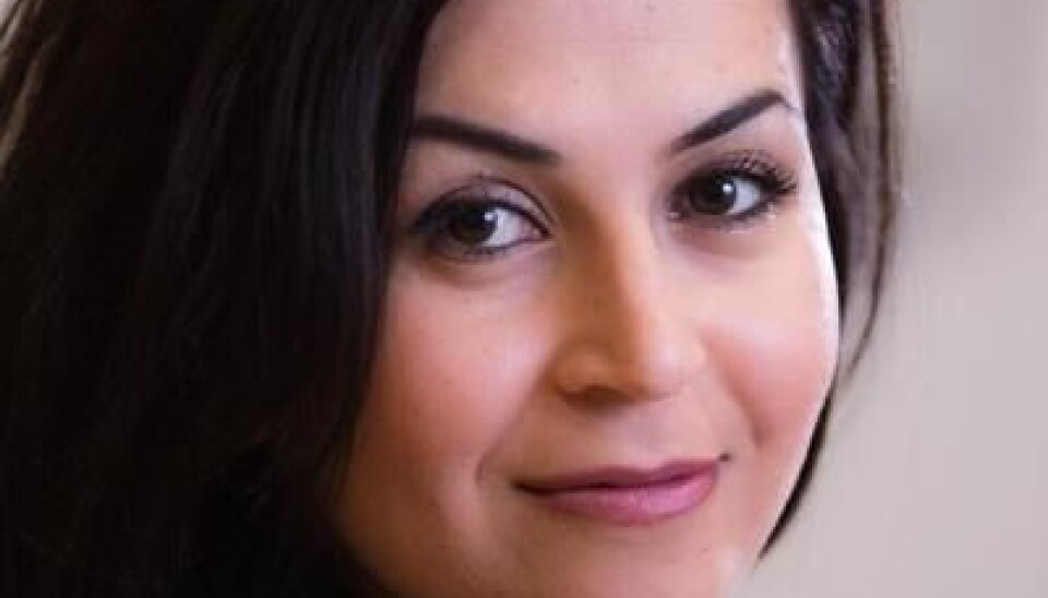 Dette vil dei jobba for i universitetsstyret