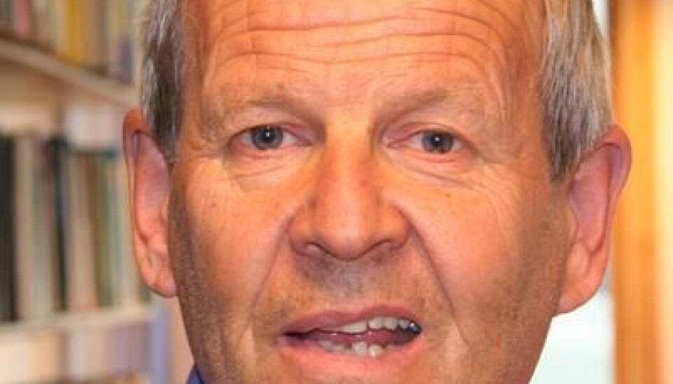 Desse professorane vil inn i universitetsstyret