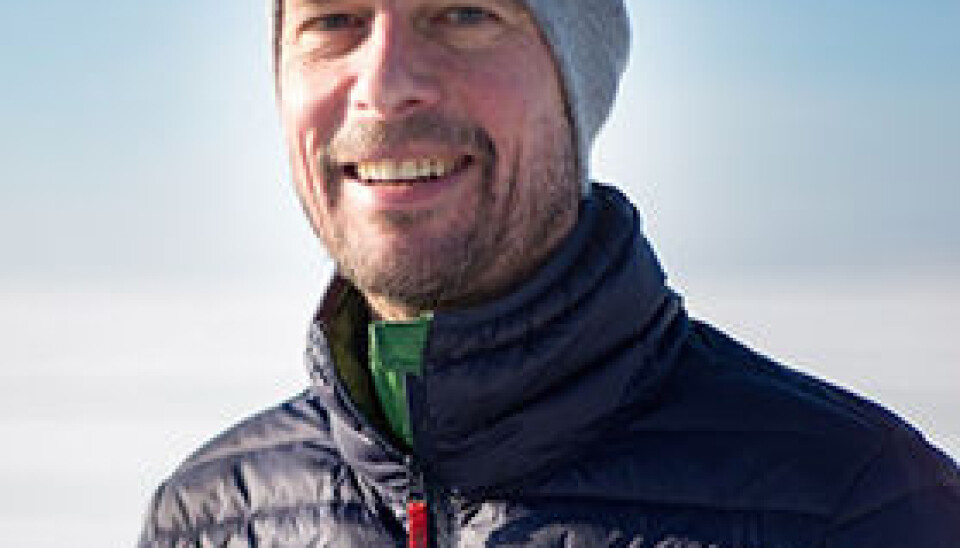 Desse professorane vil inn i universitetsstyret