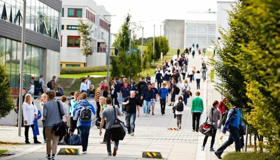 Omlag 70 studenter begynner hvert år på bachelorprogram i rettsvitenskap ved Universitetet i Stavanger. Nå ønsker både studenter og universitet å kunne tilby mastergrad i rettsvitenskap.