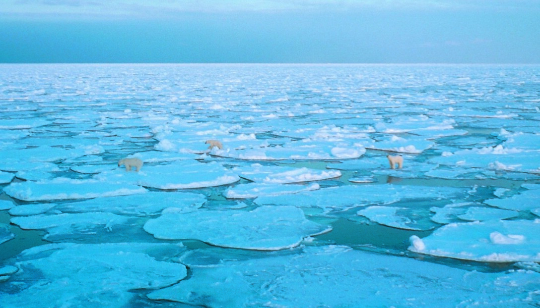 Klimaendringene står på programmet i det nye kurset som starter opp. Klimaendringene står på programmet i det nye kurset som starter opp.