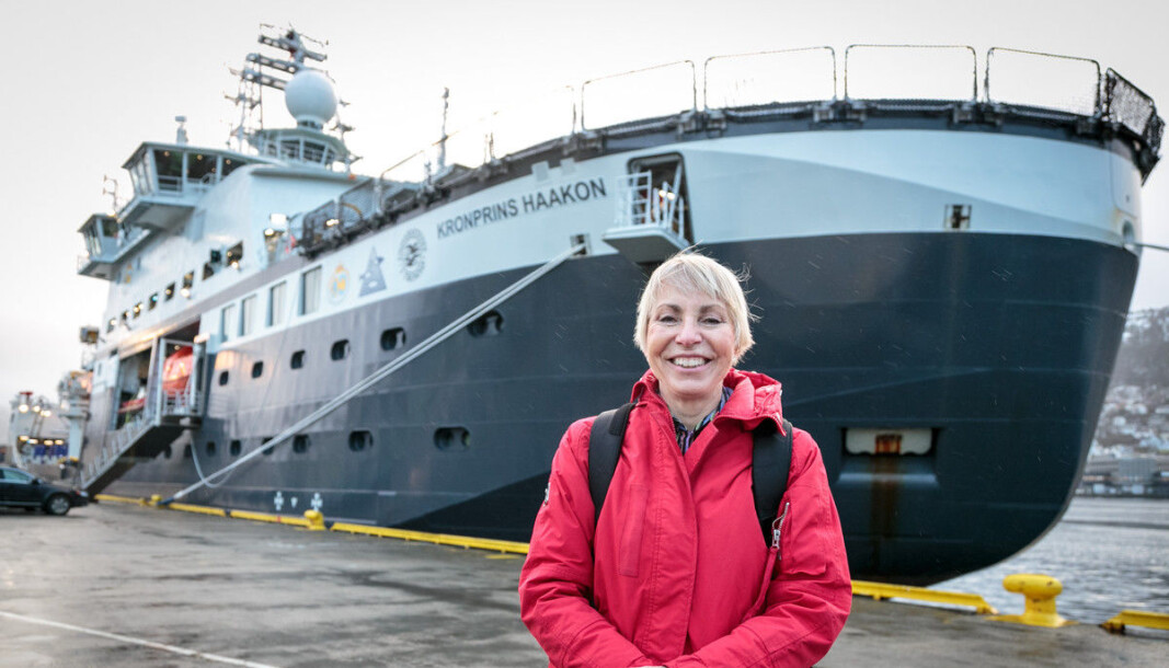 Havforskningsdirektør Sissel Rogne kan bli utfordret når jobben hennes nå lyses ut etter snart seks års åremål. — Jeg er motivert for seks år til. Det har vært fantastisk å lede Havforskningsinstituttet, sier Rogne. Havforskningsdirektør Sissel Rogne kan bli utfordret når jobben hennes nå lyses ut etter snart seks års åremål. — Jeg er motivert for seks år til. Det har vært fantastisk å lede Havforskningsinstituttet, sier Rogne.