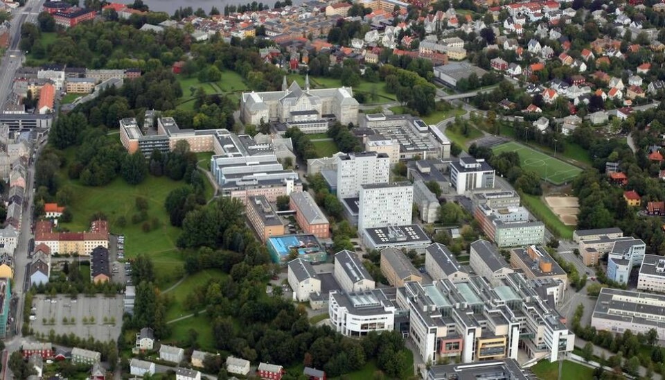 Kritikerne mener det allerede er for trangt på Gløshaugen. Campusprosjektet innebærer blant annet flytting av Campus Dragvoll slik at de kommer tettere på fagmiljøene på Gløshaugen..