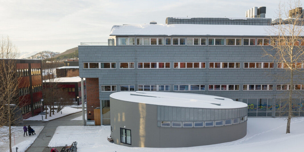 Professor Peter Arbo mener ansatt rektor er den rette veien å gå for UiT - Norges arktiske universitet, her representert ved Det helsevitenskapelige fakultet. Professor Peter Arbo mener ansatt rektor er den rette veien å gå for UiT - Norges arktiske universitet, her representert ved Det helsevitenskapelige fakultet.