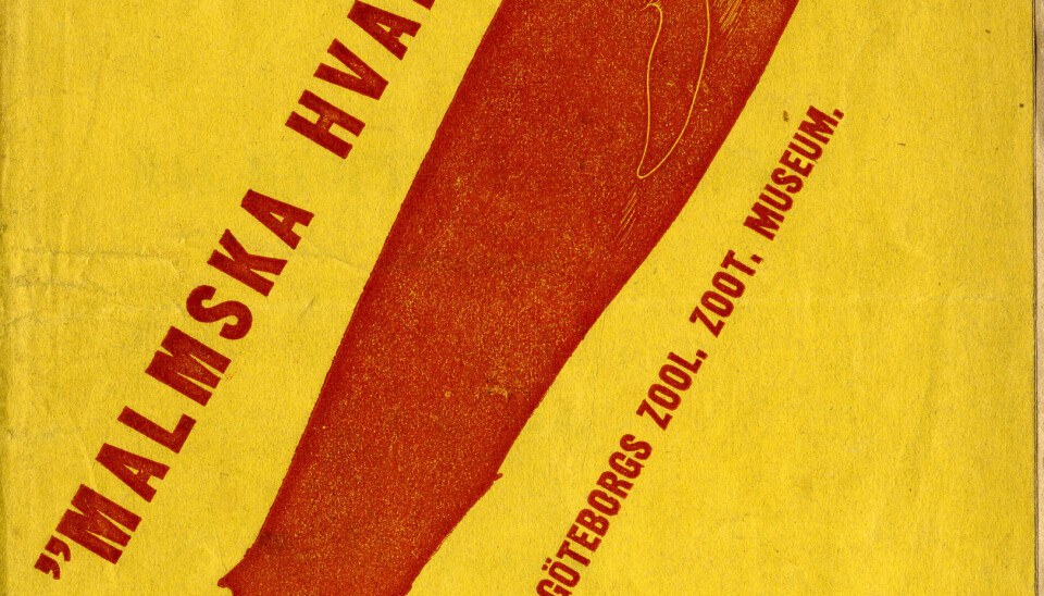 Populærversjonen av beretningen om den «Malmska valen», publisert 1866.