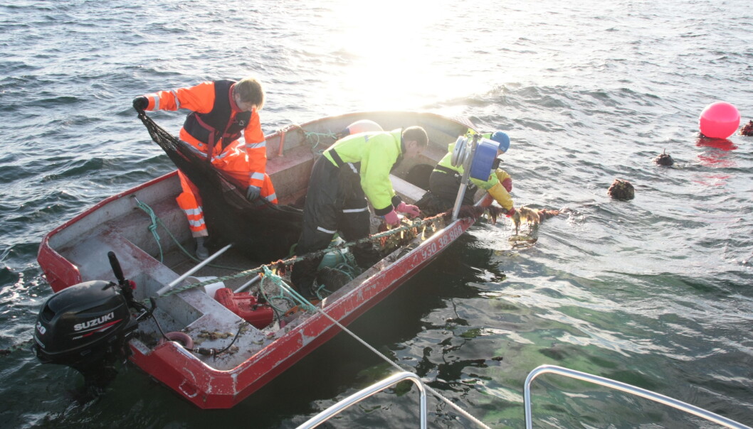 God forvaltning av havet føreset naturvitskapleg kunnskap som t.d. forsking på miljøgifter som utgangspunkt for internasjonale avtalar, skriv Mestad og Gornitzka. God forvaltning av havet føreset naturvitskapleg kunnskap som t.d. forsking på miljøgifter som utgangspunkt for internasjonale avtalar, skriv Mestad og Gornitzka.