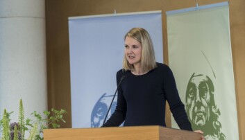 Professor Katrine Vellesen Løken, NHH . Professor Katrine Vellesen Løken, NHH .