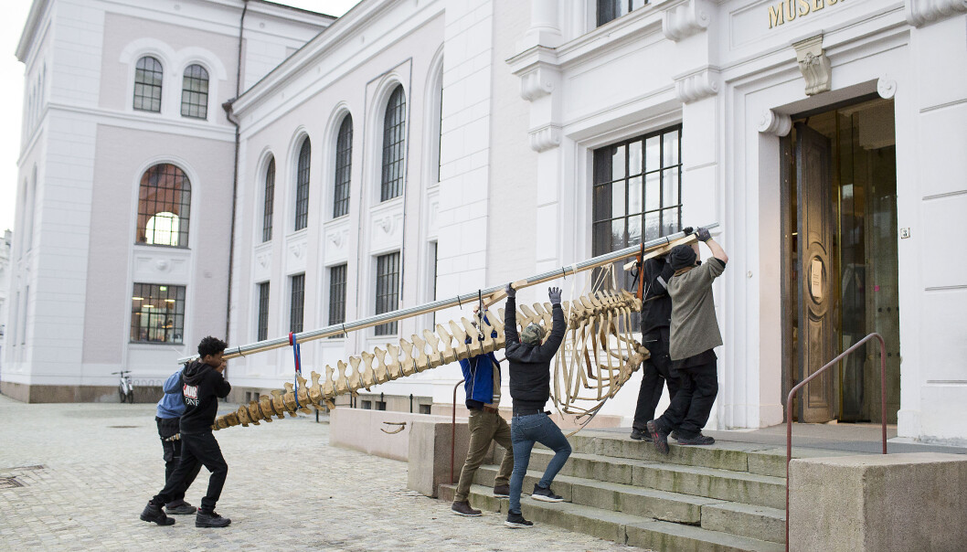 Det som i Bergen vart kalla Det som i Bergen vart kalla