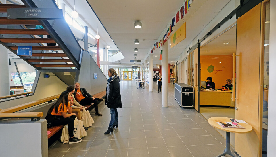 Torgeir Parr Dimmen er tilsett ved Høgskulen i Volda, som litt i nynorskområdet. Han er uroa over nynorskkompetansen hos mange lærarstudentar. Foto: Øystein Torheim