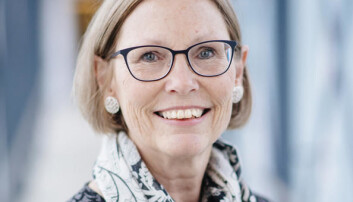 Elaine Munthe Elaine Munthe