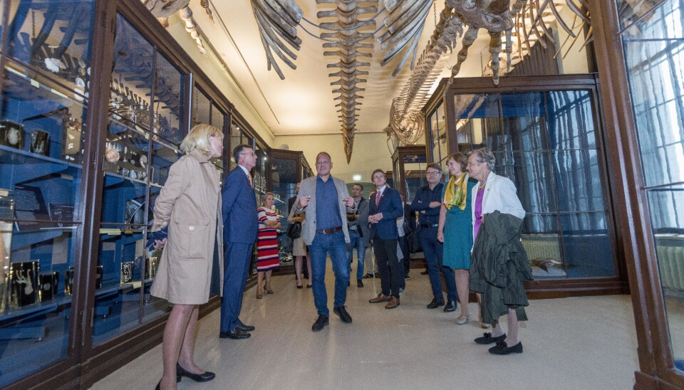 Museumsdirektør Henrik von Achen saman med universitetsstyret, sitjande rektor Dag Run Olsen (nummer to frå venstre) og dei som så langt har sagt at dei stiller til val: Margareth Hagen (nummer ein frå venstre) og Oddrun Samdal (nummer to frå høgre).