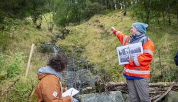 Julie Bjørlien peikar opp lia, der ein raspinne er plassert. Så langt har det ikkje gått nye skred på staden. Men det hender at sauer som klør seg på pinnen utløyser alarmen. Foto: Tor Farstad Julie Bjørlien peikar opp lia, der ein raspinne er plassert. Så langt har det ikkje gått nye skred på staden. Men det hender at sauer som klør seg på pinnen utløyser alarmen. Foto: Tor Farstad