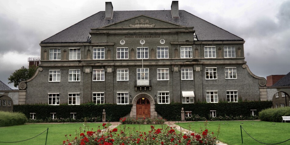 Hovudbygget vart sett opp i år 1820 og er ein av fleire bygg på tomta som er freda av Riksantikvaren. Foto: Ketil Blom Haugstulen Hovudbygget vart sett opp i år 1820 og er ein av fleire bygg på tomta som er freda av Riksantikvaren. Foto: Ketil Blom Haugstulen