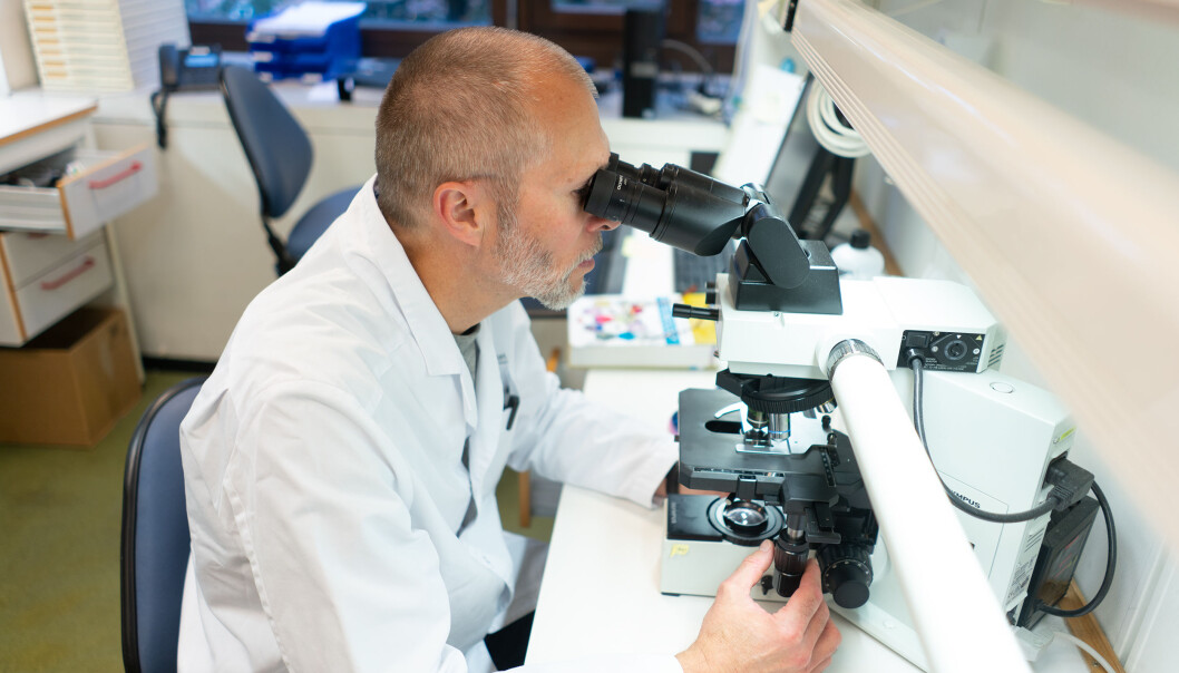 Mens mange forskere trenger laboratorieutstyr for å få drevet noen form for meningsfull forskning, vil mange humanister ikke trenge stort mer enn en pc og bibliotekstilgang, skriver innleggsforfatterne. Arkivbildet som brukes som illustrasjon er fra Veterinærinstituttet. Mens mange forskere trenger laboratorieutstyr for å få drevet noen form for meningsfull forskning, vil mange humanister ikke trenge stort mer enn en pc og bibliotekstilgang, skriver innleggsforfatterne. Arkivbildet som brukes som illustrasjon er fra Veterinærinstituttet.