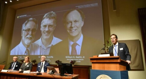 Nobelprisene 2019: Oppdagelse rundt celler og oksygen førte til nobelpris i medisin