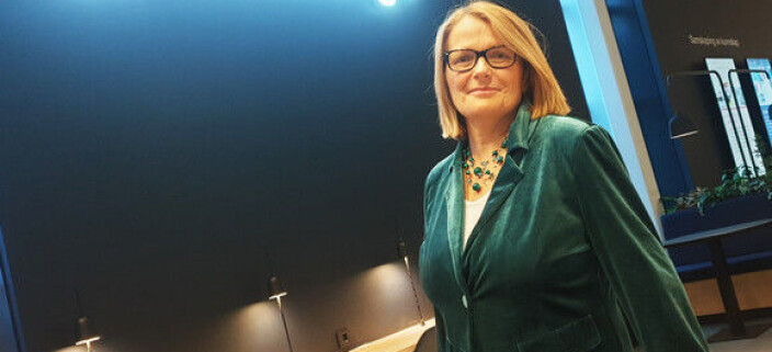 Rektor Sunniva Whittaker leder styret ved Universitetet i Agder. Foto: UiA Rektor Sunniva Whittaker leder styret ved Universitetet i Agder. Foto: UiA