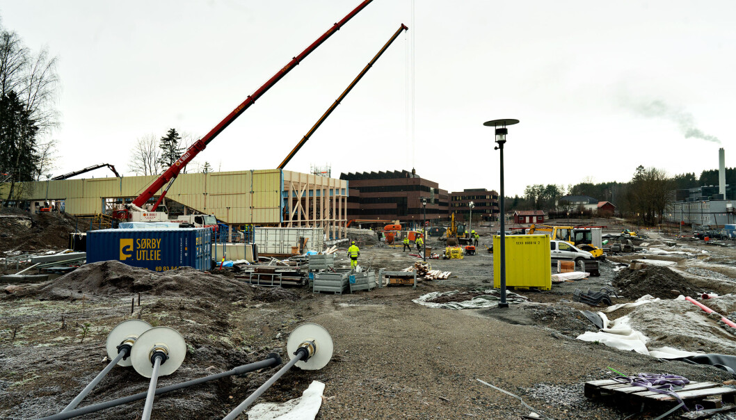 Byggeplassen på Campus Ås, desember 2019. Her bygger NMBU et enormt bygg — som universitetet frykter Statsbygg skal ta over. Foto: Ketil Blom Haugstulen Byggeplassen på Campus Ås, desember 2019. Her bygger NMBU et enormt bygg — som universitetet frykter Statsbygg skal ta over. Foto: Ketil Blom Haugstulen