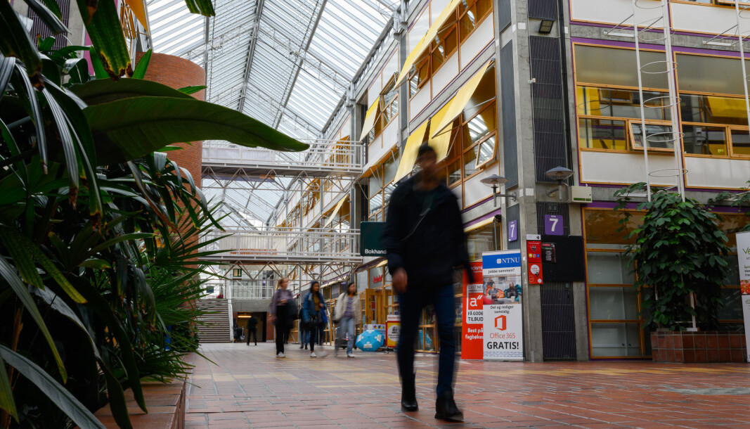 Khrono har sjekket med flere studentombud rundt om i landet om de har fått inn saker som handler om kjønnsidentitet. Illustrasjonsbilde fra NTNU, avdeling Dragvoll. Khrono har sjekket med flere studentombud rundt om i landet om de har fått inn saker som handler om kjønnsidentitet. Illustrasjonsbilde fra NTNU, avdeling Dragvoll.