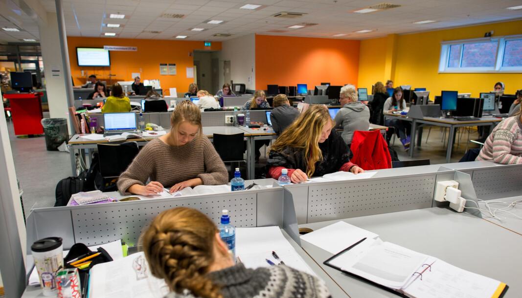 — De grunnleggende ferdighetene som studentene forventes å tilegne seg kan gi fremtidige arbeidstagere den fagovergripende kunnskapen de trenger for å kunne bidra positivt til en omstilling, skriver innleggsforfatterne om arbeidslivsrelevans i utdanningen. — De grunnleggende ferdighetene som studentene forventes å tilegne seg kan gi fremtidige arbeidstagere den fagovergripende kunnskapen de trenger for å kunne bidra positivt til en omstilling, skriver innleggsforfatterne om arbeidslivsrelevans i utdanningen.