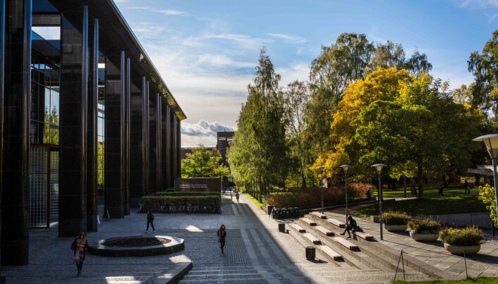 De kommende ukene vil vise hvor tett undervisningen kan foregå ved Universitetet i Oslo. De kommende ukene vil vise hvor tett undervisningen kan foregå ved Universitetet i Oslo.