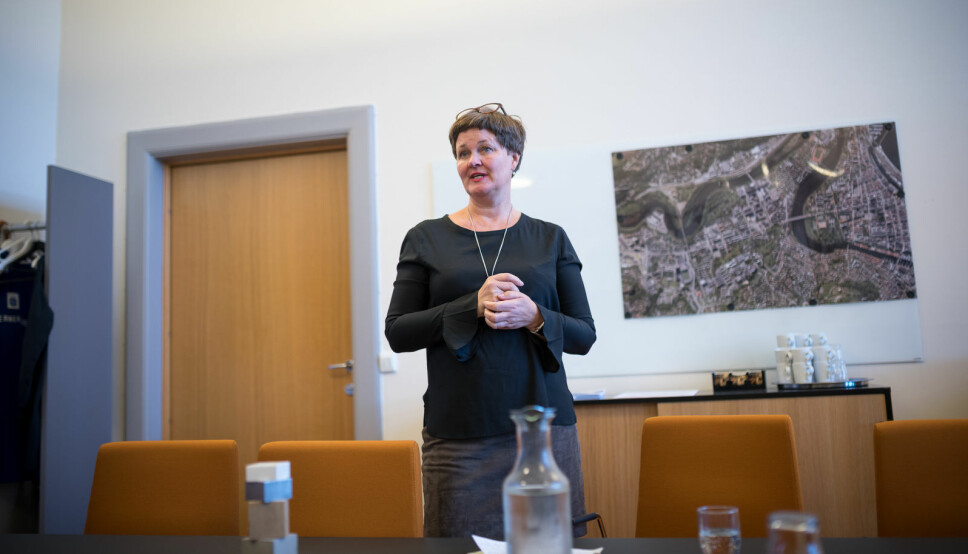 Anne Kristine Børresen er leder for Det nasjonale publiseringsutvalget og dekan ved NTNU.