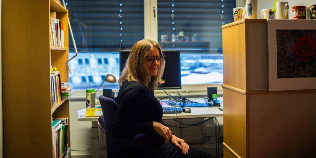 Professor Anne Birgitta Nilsen mener det er behov for å sette ord på professor- og dosentrollen. Professor Anne Birgitta Nilsen mener det er behov for å sette ord på professor- og dosentrollen.