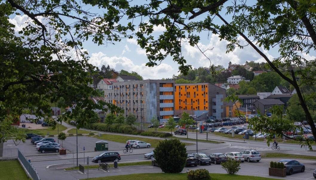 Studenten som ble tatt for fusk tok en eksamen ved Høgskolen i Østfold. Studenten som ble tatt for fusk tok en eksamen ved Høgskolen i Østfold.