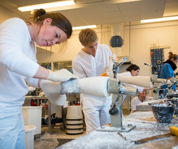 Norske studenter mindre fornøyd med arbeidsrelevans enn svensker og finner