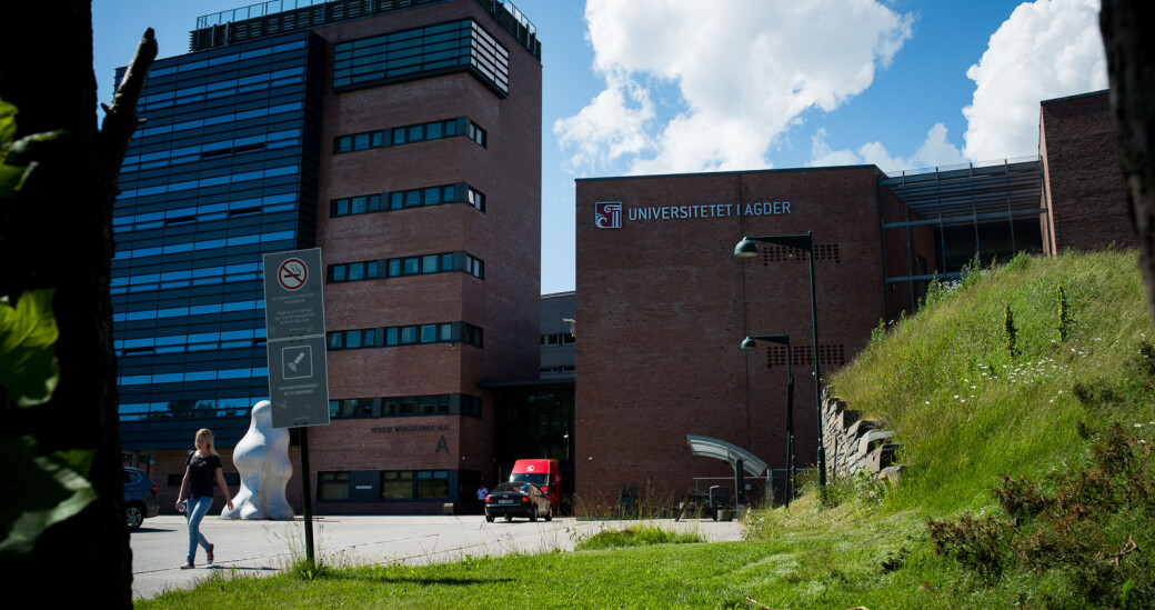 Da Sunniva Whittaker stilte til valg som rektor ved Universitetet i Agder representerte hun noe nytt for mange av oss. Kampanjen hennes ga oss håp om en rektor som hadde tydelige og konkrete mål, og som var opptatt av reell medvirkning, mangfold og et sterkt studentdemokrati, skriver innleggsforfatterne. Da Sunniva Whittaker stilte til valg som rektor ved Universitetet i Agder representerte hun noe nytt for mange av oss. Kampanjen hennes ga oss håp om en rektor som hadde tydelige og konkrete mål, og som var opptatt av reell medvirkning, mangfold og et sterkt studentdemokrati, skriver innleggsforfatterne.