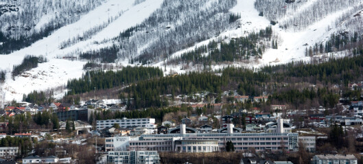 Direktørstilling for UiT Narvik er utlyst