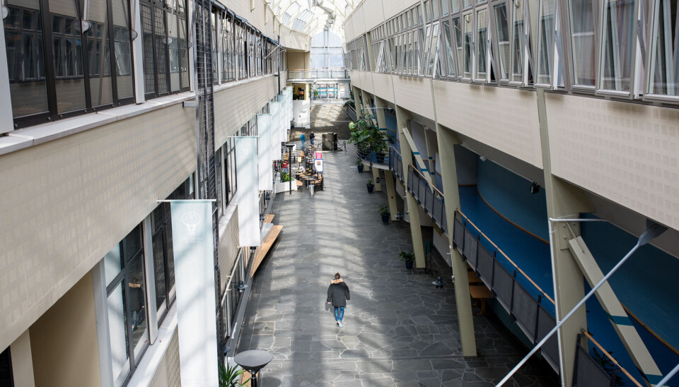Tilbud om deltidsjobb og stipend skal lokke lærerstudenter hit til UiTs campus i Narvik.
