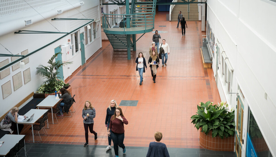 Studenter i førkoronatid ved campus Bakketeigen i vestfold, Universitetet i Sørøst-Norge,