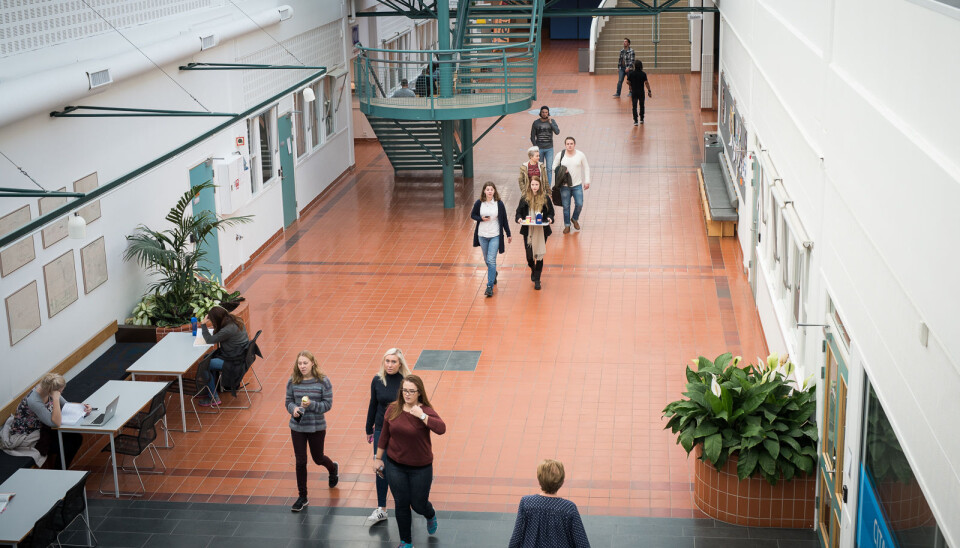 Studenter i førkoronatid ved campus Bakketeigen i vestfold, Universitetet i Sørøst-Norge, Studenter i førkoronatid ved campus Bakketeigen i vestfold, Universitetet i Sørøst-Norge,