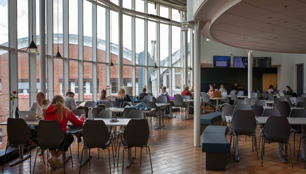 Høgskolen i Østfold før koronautbrotet. Østfold-regionen er no hardt råka av eit smitteutbrot, og alle fysiske faddervekeaktivitetar er avlyst. Høgskolen i Østfold før koronautbrotet. Østfold-regionen er no hardt råka av eit smitteutbrot, og alle fysiske faddervekeaktivitetar er avlyst.