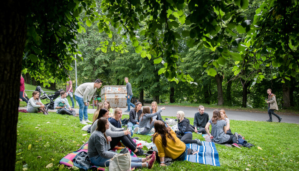 Piknik i parken vil man fremdeles kunne arrangere ved OsloMet, så lenge det ikke blir servert alkohol. Faddergruppene er i utgangspunktet omlag 20 personer i år.