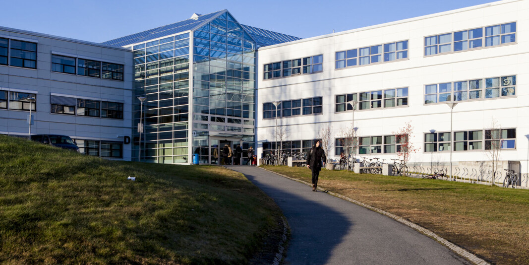 Hvordan vil samfunnet se ut etter koronakrisen, spør forskere fra NTNU Samfunnsforskning. Mange i sektoren stiller seg blant annet spørsmålet om de vil se yrende studentliv ved campusene til høsten. Her fra NTNUs campus Dragvoll. Hvordan vil samfunnet se ut etter koronakrisen, spør forskere fra NTNU Samfunnsforskning. Mange i sektoren stiller seg blant annet spørsmålet om de vil se yrende studentliv ved campusene til høsten. Her fra NTNUs campus Dragvoll.