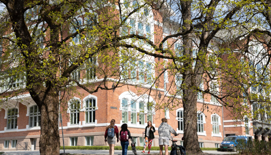 Faddertrøbbel ved universitetet i Ås, NMBU. Faddertrøbbel ved universitetet i Ås, NMBU.