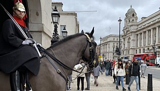 Sentrum av London på brexit-dagen. Sentrum av London på brexit-dagen.