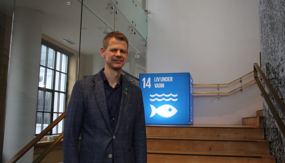 Dagens studentar er meir medvitne om klima enn generasjonane før, og forventar òg noko anna frå universiteta, meiner NMBU-prorektor Solve Sæbø. Foto: Anne Skifjeld