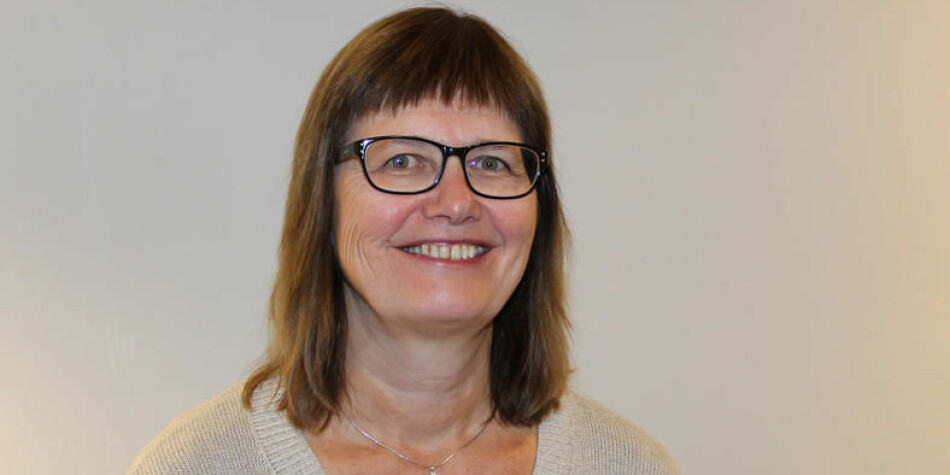 Lise Iversen Kulbrandstad er styreleder i Nokut og professor ved Høgskolen i Innlandet. Hun har erklært seg inhabil. Foto: Høgskolen i Innlandet.