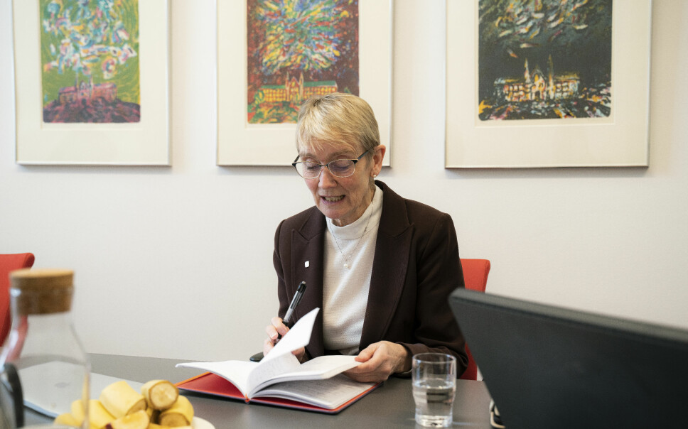 NTNU, med rektor Anne Borg, er blant dei 26 norske høgare utdanningsinstitusjonane som ikkje har tatt fagspråk med i sine strategiske prioriteringar, ifølgje ein rapport frå Diku.