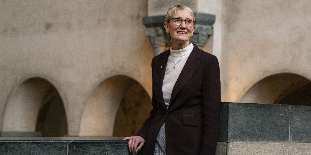 Anne Borg, rektor ved NTNU. Foto: Leikny Havik Skjærseth Anne Borg, rektor ved NTNU. Foto: Leikny Havik Skjærseth