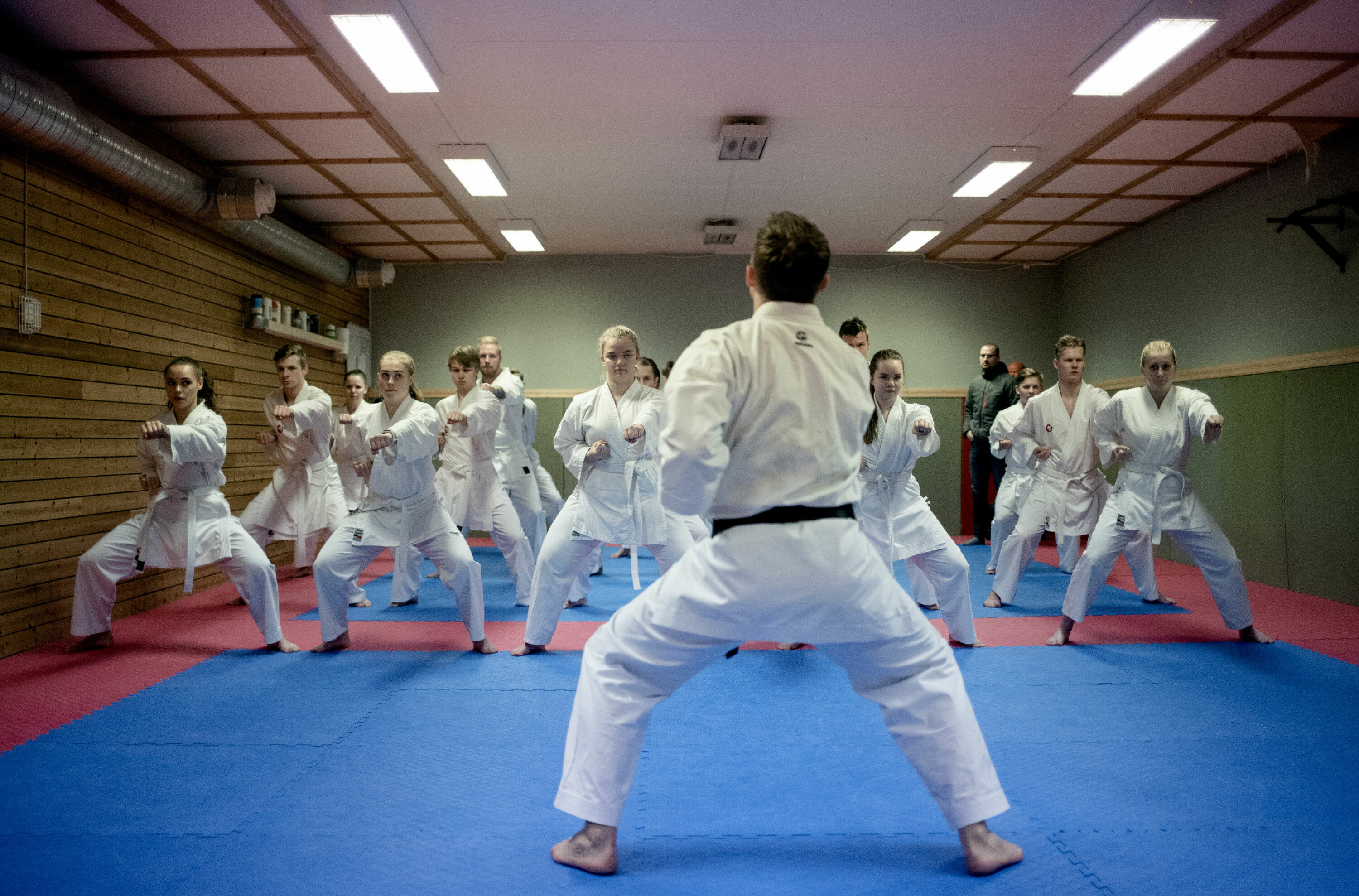 Førsteårs- og bahcelorstudentar i idrettsvitskap har karatetime saman. På studiet blir det lagt stor vekt på kople teori med utøvande idrett i mange ulike former. Foto: Marthe A. Vannebo