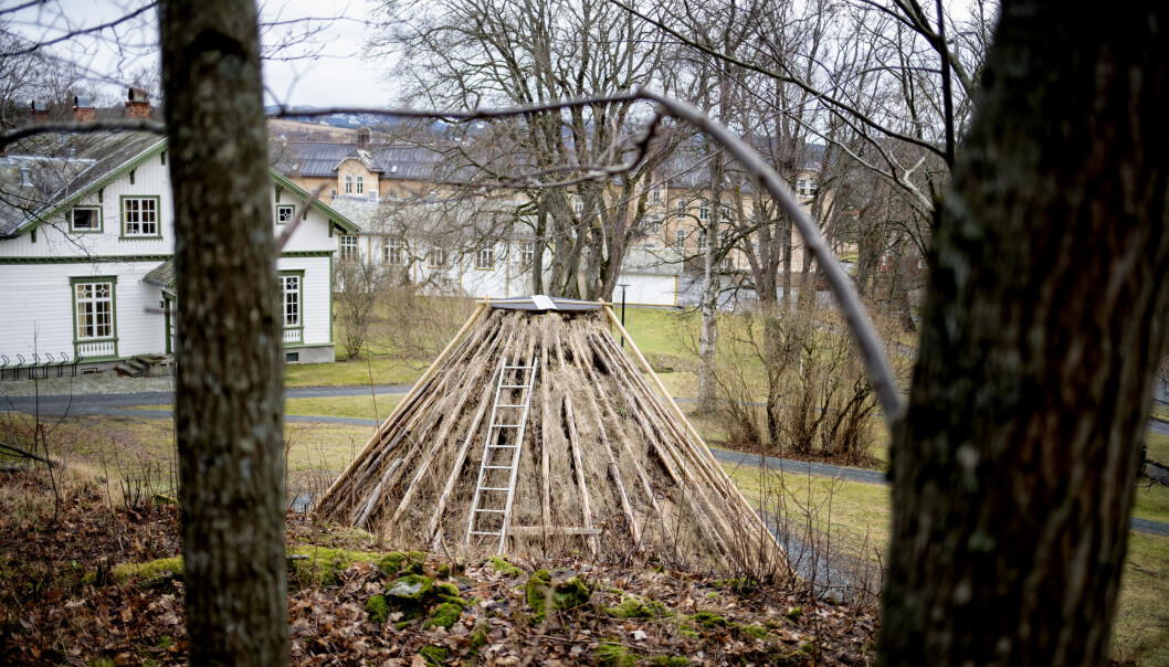 Universitetsbyen Levanger ligg i sørsamisk område, og universitetet her har nasjonalt ansvar for verdas første sør- og lulesamiske lærarutdanning.Gamme på campus er derfor meir enn naturleg. Foto: Marthe A. Vannebo. Universitetsbyen Levanger ligg i sørsamisk område, og universitetet her har nasjonalt ansvar for verdas første sør- og lulesamiske lærarutdanning.Gamme på campus er derfor meir enn naturleg. Foto: Marthe A. Vannebo.