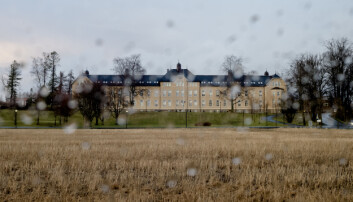 Ein liten by i Trøndelag har fått eit universitet i fanget. No startar strevet med å leve opp til det.