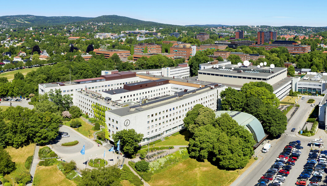 Dette er området på Marienlyst som Ferd nå har kjøpt. Foto: NRK/Gregard Palotta Dette er området på Marienlyst som Ferd nå har kjøpt. Foto: NRK/Gregard Palotta