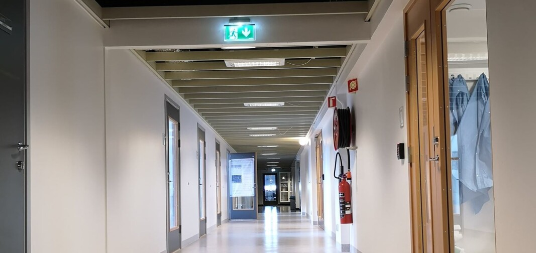 Tomme korridorer ved Institutt for biovitenskap ved Universitetet i Oslo Tomme korridorer ved Institutt for biovitenskap ved Universitetet i Oslo