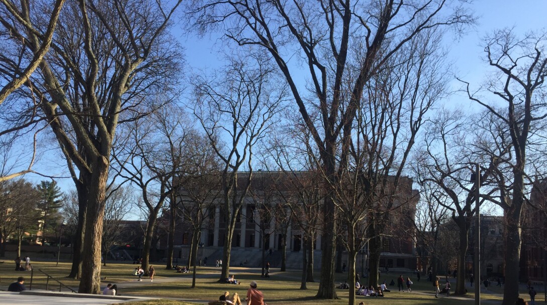 Fra Sterris egen fotokolleksjon: Harvard-universitetet Fra Sterris egen fotokolleksjon: Harvard-universitetet